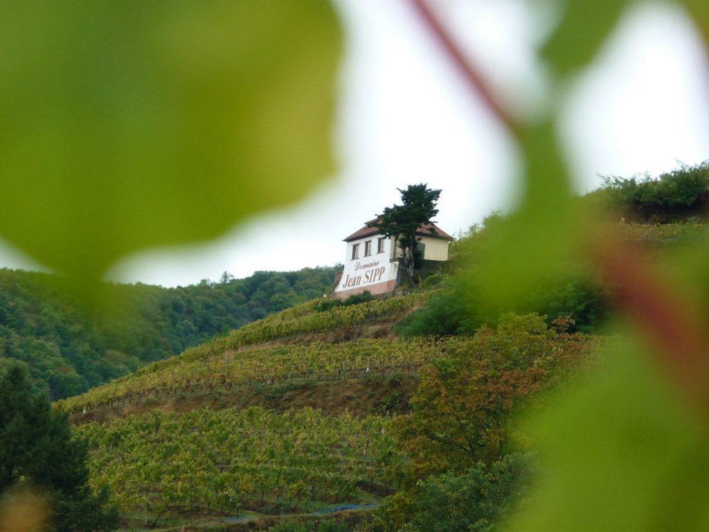 Domaine Jean Sipp 호텔 리보빌레 외부 사진