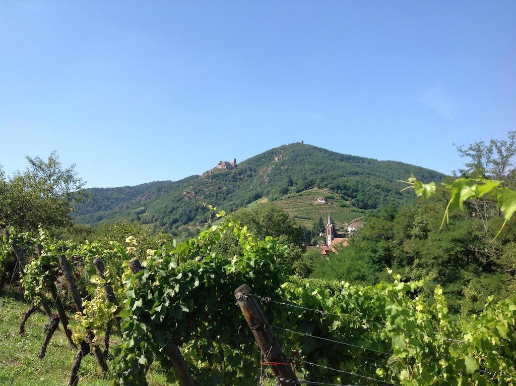 Domaine Jean Sipp 호텔 리보빌레 외부 사진
